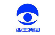 西王集團(tuán) 西王集團(tuán)